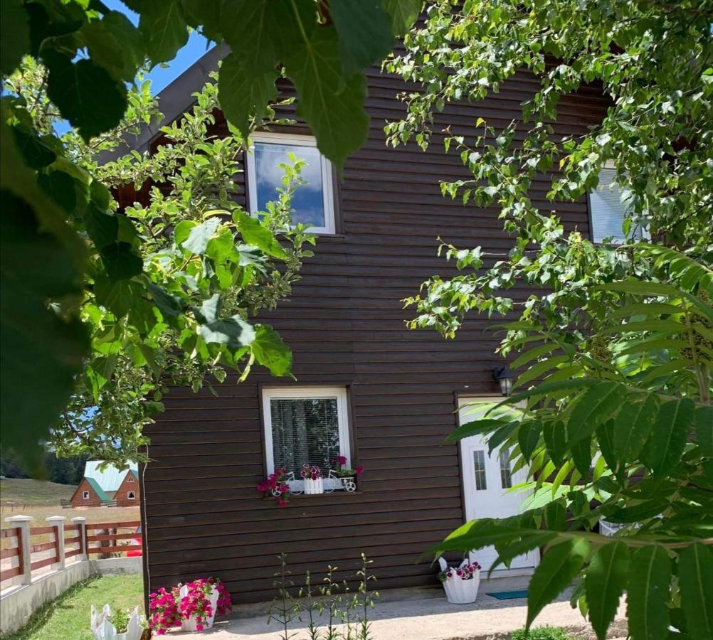 Apartment & Rooms Sweet Dreams Žabljak 外观 照片